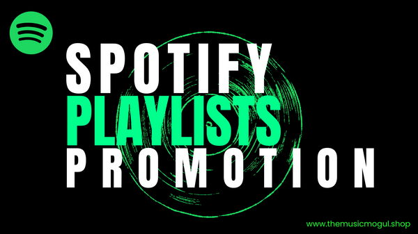 2. Spotify Playlist Promotion