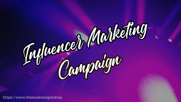 3. Influencer Marketing Campaign (Trending Audio)
